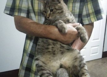 จส-100-–-จส.-100