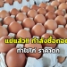 ประชาชนขาดกำลังซื้อ-ทำไข่ไก่-ราคาตก-เบอร์-5-6-เหลือ-2-แผงร้อย