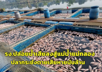 รง.ปล่อยน้ำเสียลงสู่แม่น้ำแม่กลองปลากระชังตายเสียหายนับล้านบาท